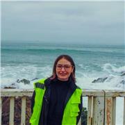 ¡Refuerzo escolar y PAES en Maipú! Ofrezco clases a domicilio de Matemática, Historia y Lenguaje para básica y media