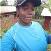 Prof d'anglais propose des cours d'anglais pour 6ème 