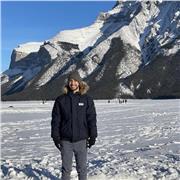 Profesional con alto conocimiento en ingles, viví en Canadá por tres año, y estudié una carrera tecnológica en dicho país