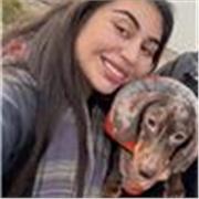 Primary School Teacher Tutor Available (Cross-Curricular£