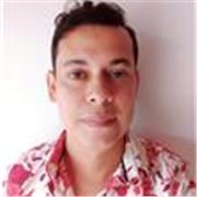 Ingeniero Electrónico con 4 Semestres de Ingeniería de Sistemas