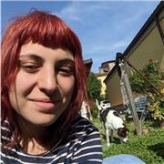 Offro ripetizioni di inglese (livello avanzato) per scuole superiori. Disponibile anche per tutte le altre materie per elementari e medie