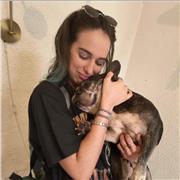 Acompañante para el aprendizaje de lectura