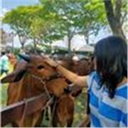 Profesora se equitación, apta para todas las edades. Sobre todo personas que van a iniciar dentro de este mundo 