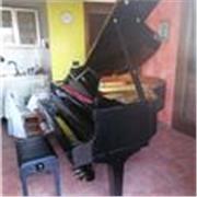 Ich kann Italienisch und Deutsch unterrichten. Sprich mit mir. Parla con me