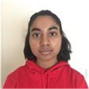 I provide personal lessons curated for the needs of the student, helping them excel at their subject.