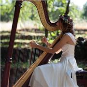 Lezioni di Arpa classica, celtica e teoria e solfeggio