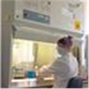 Profe de Biología, técnico de laboratorio y estudiante. Imparto clases de forma online y adaptándome a cualquier horario. 