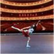 Profesora de ballet, contemporáneo, predanza, reparto y preparación física para cualquier edad, tanto presencial como online
