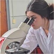 Ofrezco clases particulares y apoyo escolar para estudiantes de nivel primario, secundario e ingreso universitario