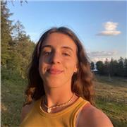 Doy clases de repaso a estudiantes de primaria, secundaria y bachillerato