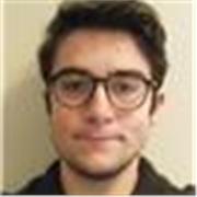 laureando in ingegneria biomedica offre ripetizioni di matematica online