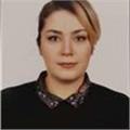 An Enthusiastic and experienced English teacher M.A. Teaching English as a Foreign Language (TEFL)