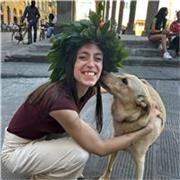 Supporto nello studio con aiuto compiti, inglese, spagnolo, geometria e competenze grafiche per indirizzi artistici