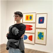 Laureando in Statistica e Informatica, offre ripetizioni e aiuto compiti in matematica.