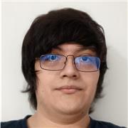 Maestro de apoyo en matemáticas o computación