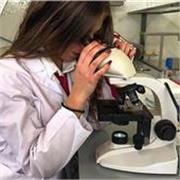 impartisco lezioni private a studenti di scuola media, liceo, università e preparazione ai test universitari