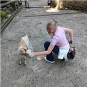 Sono disponibile come aiuto compiti in inglese (per elementari e medie), matematica (per elementari e medie), italiano.