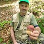 Sono da sempre portato all insegnamento scienze naturali