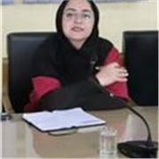 Experienced English Tutor for School Students and Adults – Online Lessons Available