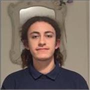 I have much experience teaching GCSE level students.