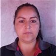 Maestro en linea, clases via remota para niños de primaria, secundaria y preparatoria