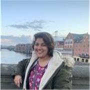 Experienced Math tutor for all ages including A Levels and GCSE