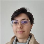Professeur en Sciences industrielles de l’ingénieur