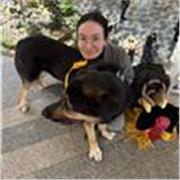 Aide à domicile ou à distance pour les devoirs et l'apprentissage de l'anglais à tous les niveaux