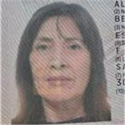 Profesora PUC ofrece clases de nivelación y reforzamiento para Educación Básica y Media