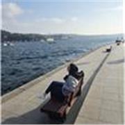 Profesor de inglés para todos los niveles. Si