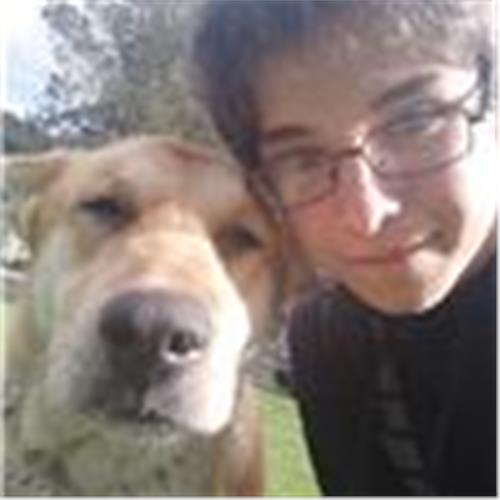 user photo