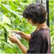 Ripetizioni di genetica, biologia e chimica per superiori e università!