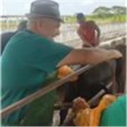 Profesor de veterinaria. reproducción animal y Biotecnias reproductivas