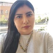 Apoyo Escolar diferentes áreas y niveles