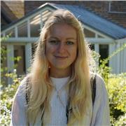 Cours particuliers d'espagnol avec professeure expérimentée – 100 % en ligne