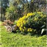 J'ensegne la langue Française à tout les niveaux : primaire collège lycèes et universitès aussi