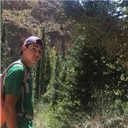Profesor de apoyo de matemáticas, física o química