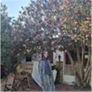 Merve Sengil