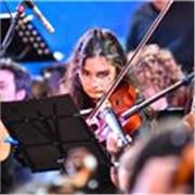 Clases de violín y viola. Tengo experiencia enseñando violín y viola a chicos desde los 6 años en adelante
