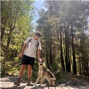 Lezioni di fisica, matematica fino alla 3 media