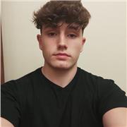 Doy clases particulares tanto de economía, como de historia