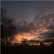 Tuition available for those looking for the best grades