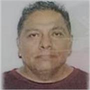 Clases en linea o presenciales (depende de ubicacion). Ing. Bioquimico y lic. En educacion mas de 27 años de experiencia