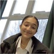 I am currently a sixth form student and am available to give affordable private lessons for English literature and language at GCSE level