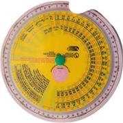 Profesora titulada de arte con mas de 5 años de experiencia