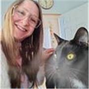 I provide lessons on academic skills for GCSE, A level and university students.