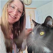 I provide lessons on academic skills for GCSE, A level and university students.