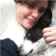 Insegnante di musica e violino impartisce lezioni di strumento e solfeggio ad allievi di tutte le età