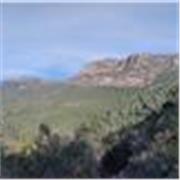 Graduat en Ciències Ambientals, cursant el màster de secundària. Classes on-line per a estudiants d'ESO o interesats en el tema